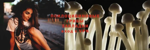 МДМА Богородицк