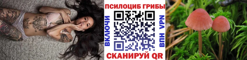 Галлюциногенные грибы прущие грибы  Свободный 